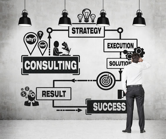 Quality Consultant Services